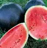Balck Watermelon Seeds For Farming (40 Seeds)