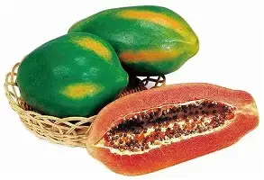 Hybrid Papaya Seeds Pack of 200 | High Yield, Early Fruiting, Sweet & Juicy