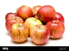 GreenWorld Special Kashmiri Red Ball Sundori Apple ber plant Hybrid and Sweet (Grafted) Live Plant, Pack Of 1