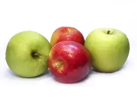 Green Apple Fruit Plant – Fresh & Healthy | Ideal for Home Garden & Orchard | Easy to Grow | My Dream Nursery