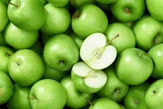 Green Apple Fruit Plant – Fresh & Healthy | Ideal for Home Garden & Orchard | Easy to Grow | My Dream Nursery